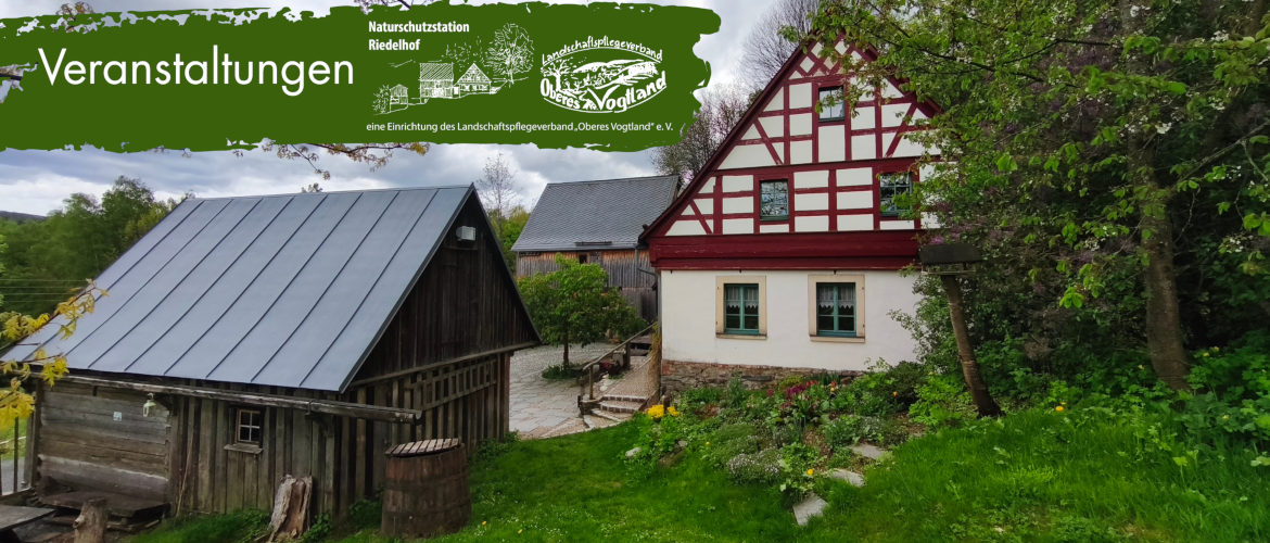 Riedelhof