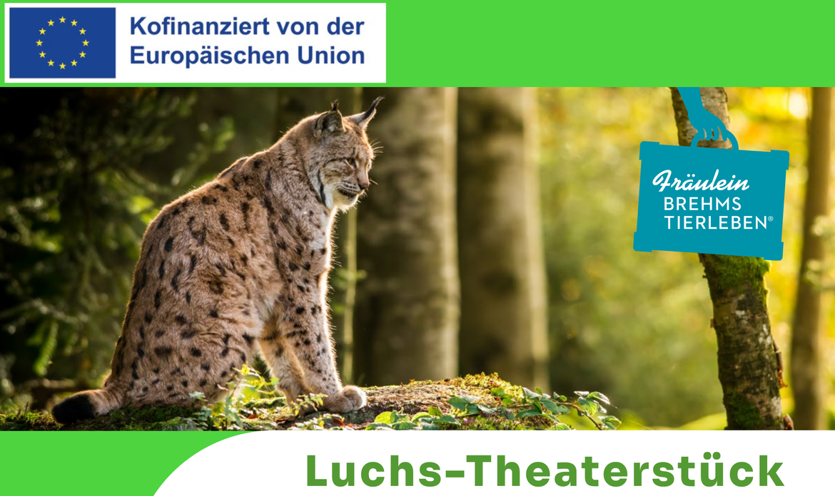 Luchs-Theater mit Fräulein Brehms Tierleben "Luchs"